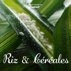 MASTRAD - Les Indispensables De Mastrad : Riz et Céréales