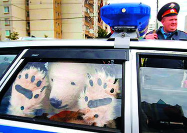 What the fuck!. What the mega fuck!