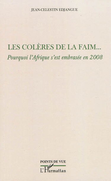 Les colères de la faim... : pourquoi l'Afrique s'est embrasée en 2008