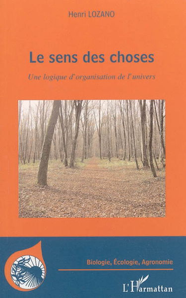 Le sens des choses : une logique d'organisation de l'Univers