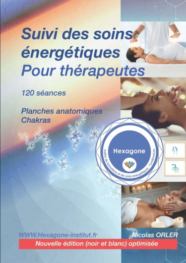 Couverture de Suivi des soins énergétiques pour thérapeutes: Pour 120 séances, planches anatomiques et Chakras