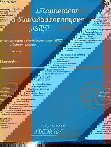 Groupement d'intérêt économique (GIE)