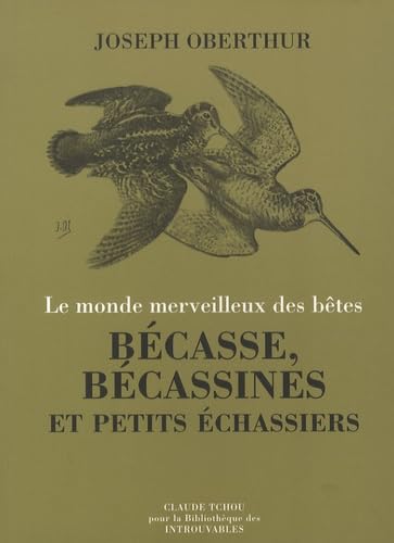 Bécasses, bécassines et petits échassiers