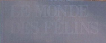 Le Monde des félins : force, douceur et cruauté