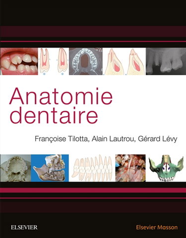 Couverture de Anatomie dentaire