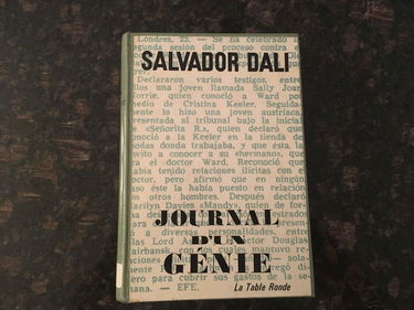 Journal d'un génie.