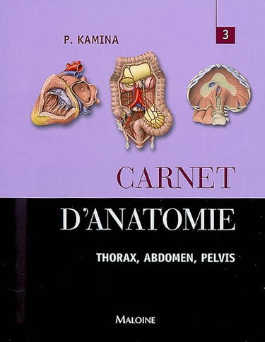 Carnet d'anatomie. Vol. 3. Thorax, abdomen, pelvis