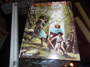 Sylvain de Rochefort. Vol. 2. Les Oubliés