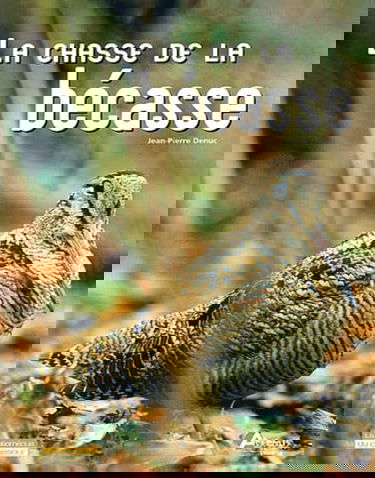 La Chasse de la bécasse