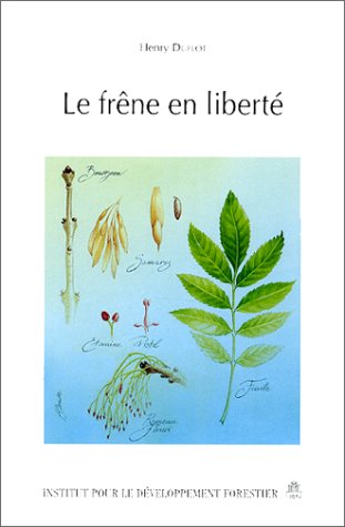 Le frêne en liberté