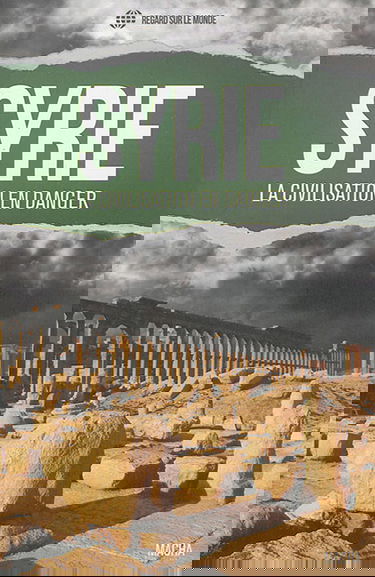 Syrie : la civilisation en danger