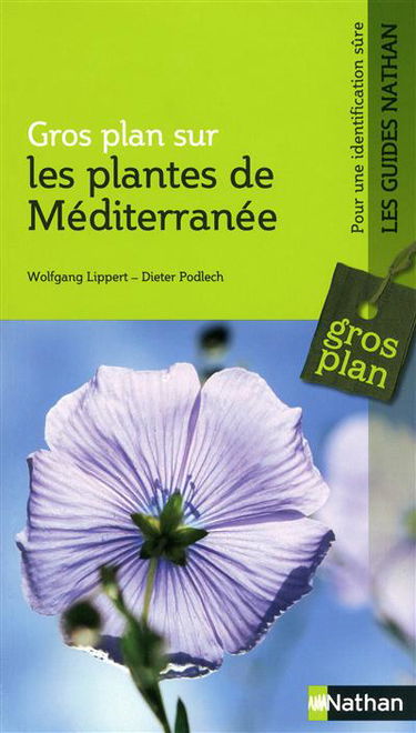 Plantes de Méditerranée