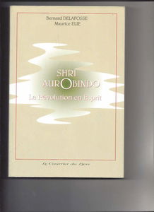 Shri Aurobindo : la révolution en esprit