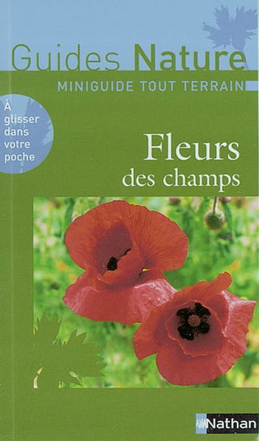 Fleurs des champs