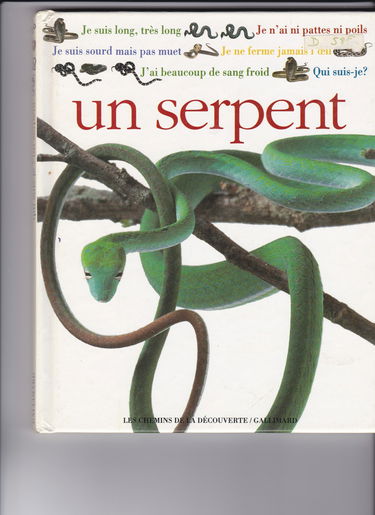 Qui suis-je ? : un serpent