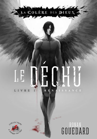 La Colère des Dieux - Le Déchu, Livre I : Renaissance (Imaginaire)