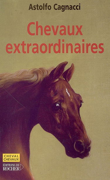 Chevaux extraordinaires : mieux que des champions, ce sont de véritables héros