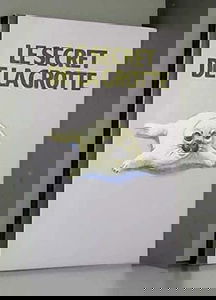 Le secret de la grotte.