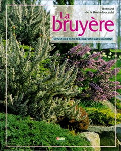 La bruyère