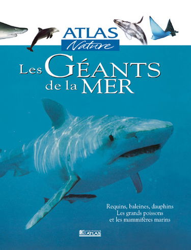 Les géants de la mer