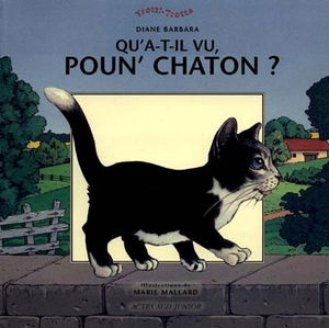 Qu'est-ce qu'il a vu, Poun'Chaton ?