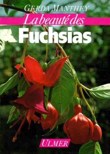 Fuchsias