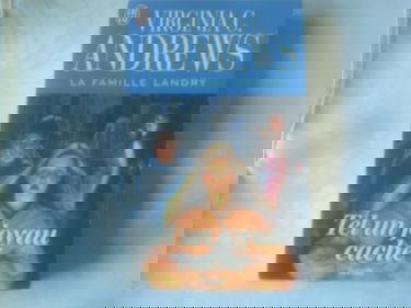 La famille Landry. Vol. 4. Tel un joyau caché