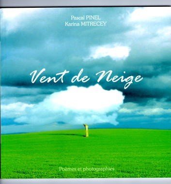 Couverture de Vent de neige