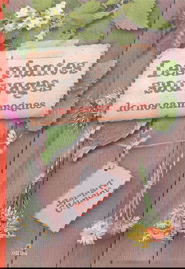 Les plantes sauvages de nos campagnes