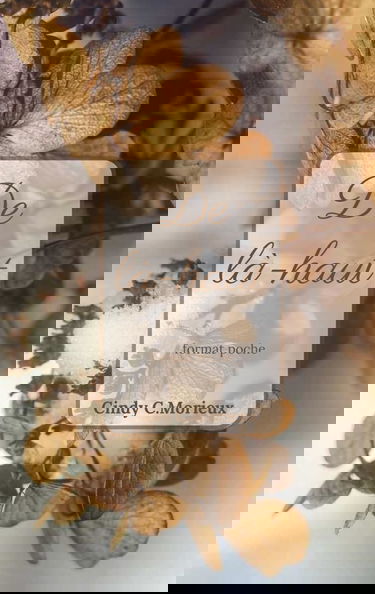 De là-haut: format poche