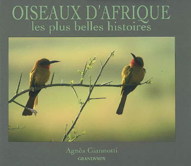 Oiseaux d'Afrique : les plus belles histoires