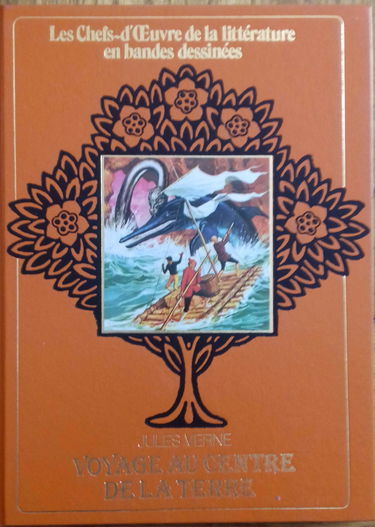 Voyage au centre de la terre (Édition adaptée pour la jeunesse, illustrée en bandes dessinées)