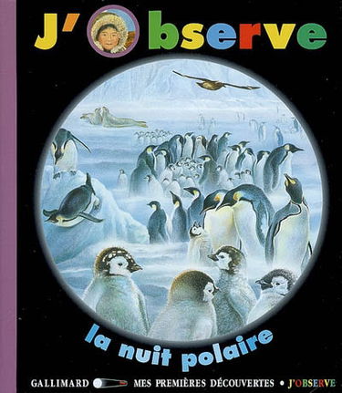 J'observe la nuit polaire