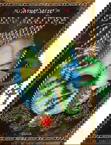 Carnet secret d'un Maître Dragon