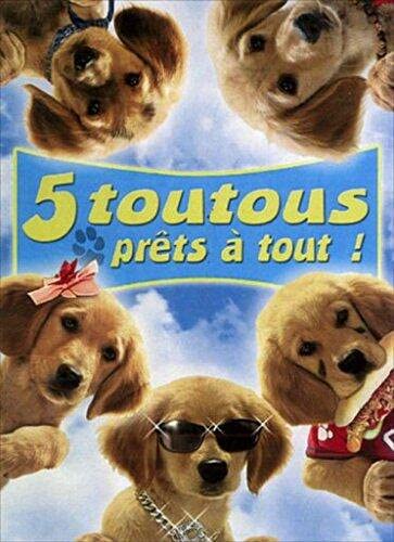 Couverture de 5 toutous prets a tout!
