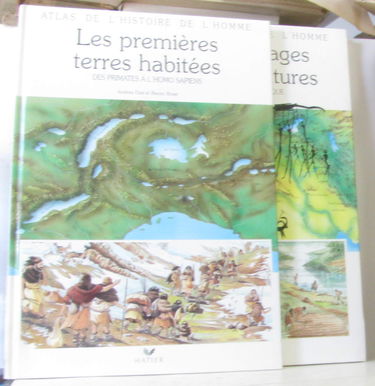 Les Premières terres habitées : des primates à l'homo sapiens