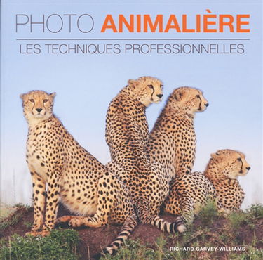 Photo animalière : les techniques professionnelles
