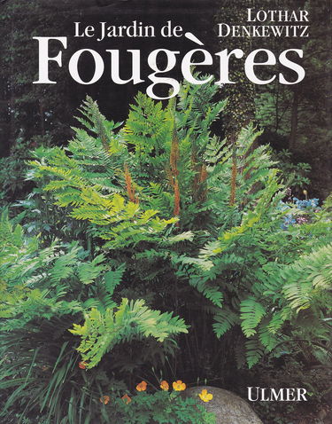 Le jardin de fougères