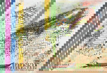 Brésil : carnet d'un voyage entre villes et nature