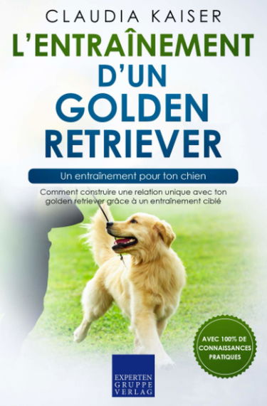 L’entraînement d’un golden retriever – un entraînement pour ton chien: Comment construire une relation unique avec ton golden retriever grâce à un entraînement ciblé