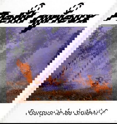 Pourquoi le feu brûle-t-il ?