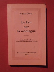 Le feu sur la montagne