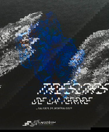 Trésors de la terre : galerie de minéralogie