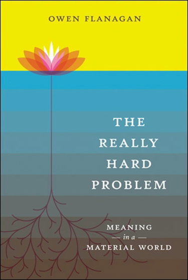 Couverture de The Really Hard Problem: Meaning in a Material World
