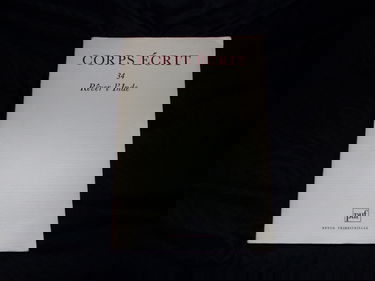 Corps écrit n° 34 (rêver l'inde): 34