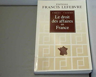 Le droit des affaires en France: Principes et approche pratique du droit des affaires et des activités économiques