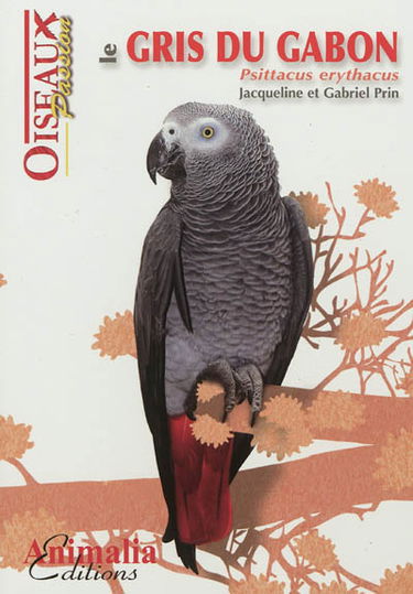 Le gris du Gabon : psittacus erythacus