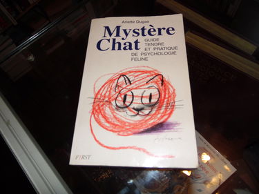Mystère chat