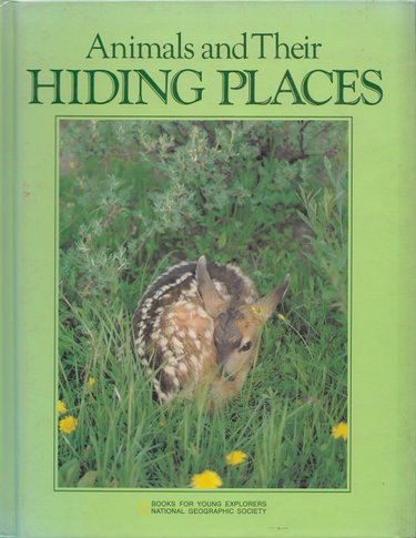 Couverture de Animals and Their Hiding Places