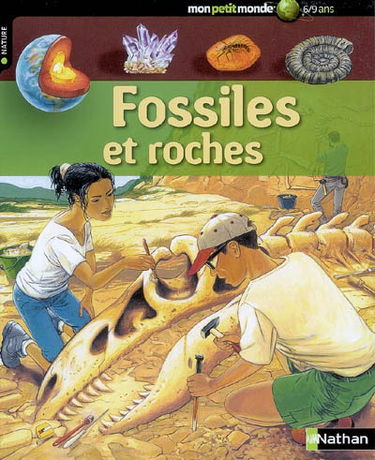Fossiles et roches